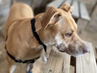 South Texas Botanical Gardens & Nature Center