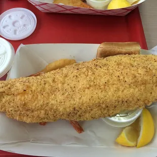 Flounder and shrimp combo looks nice