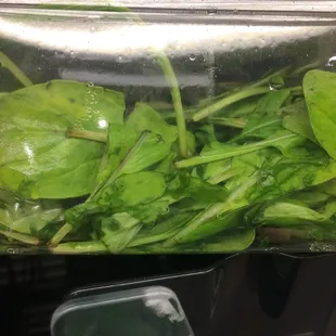 Prepackaged spinach