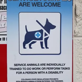 Leave your chihuahua at home for now!