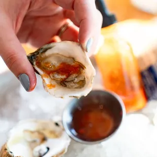 KSOB House Oysters