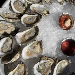 Ksob Oysters