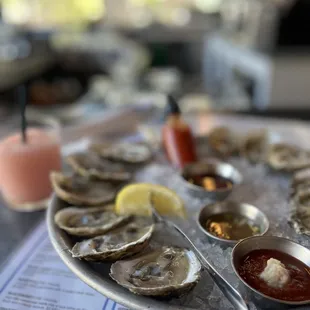 Happy hour oysters and froze