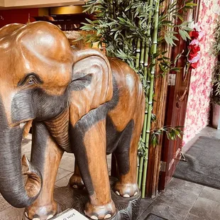 Elephant decor