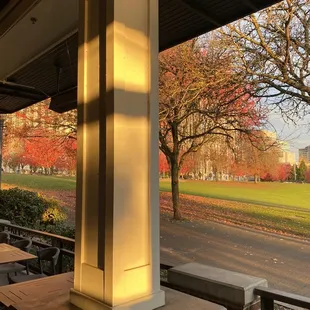 Patio in the Fall season