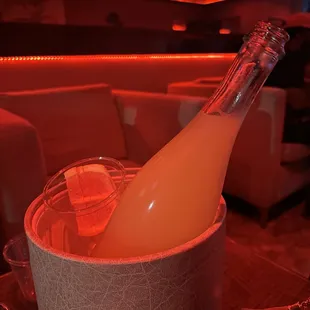 a bottle of king tut
