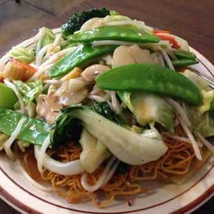 Pan Fried Noodles