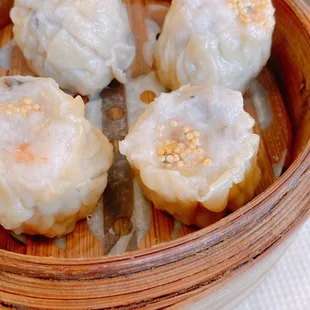 Siu Mai