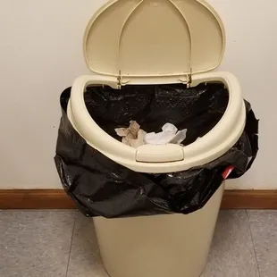 a toilet with a trash bag in it