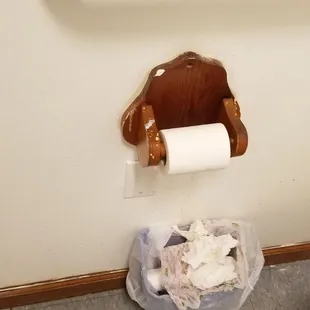 a toilet with a roll of toilet paper