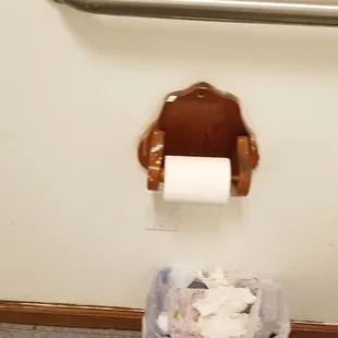 a toilet with a roll of toilet paper