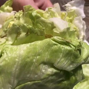 burrito, burritos and wraps, wraps, food