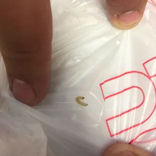 Maggot in the food that was delivered