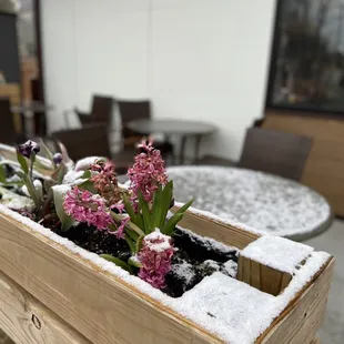 Little touches make a world of difference!