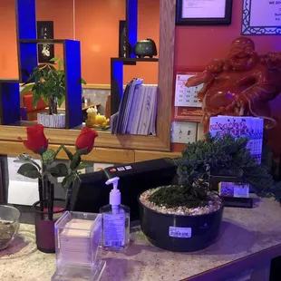 sushi and sashimi, interior