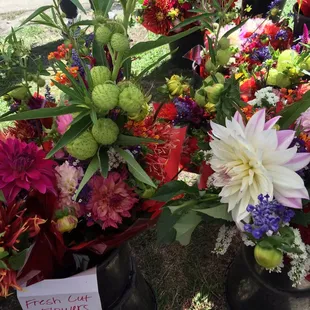 a variety of flowers