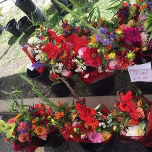 a variety of flowers