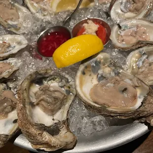 Oysters