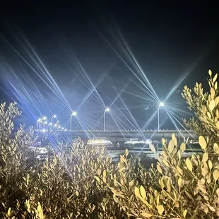 The Bridge over the Tolomato River