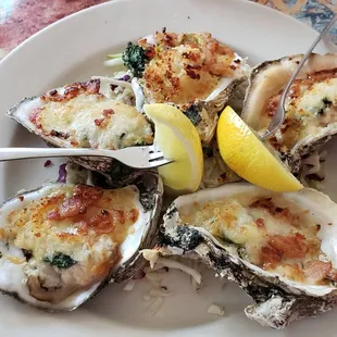 Oysters Vilano