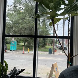 View from the window