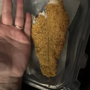 This is HALF of the piece of catfish filet I snarfed down! DOES NOT do it justice!!