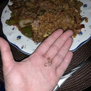 a hand holding a plate of food