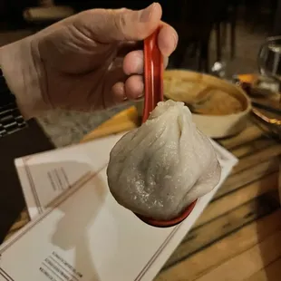 Can you see how big this dumpling is?