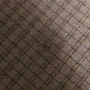 Same bug in front room