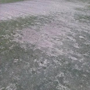 The 6th green at King&apos;s Deer. This is the worst, but the other 17 greens aren&apos;t much better.