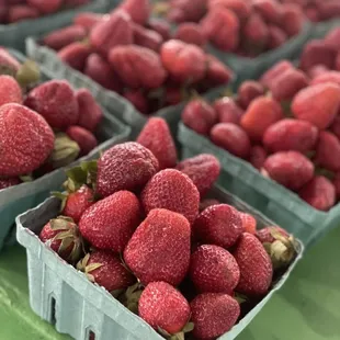 Fresh SC strawberries