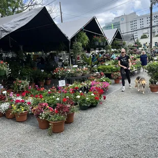 Plants and flowers galore!!!