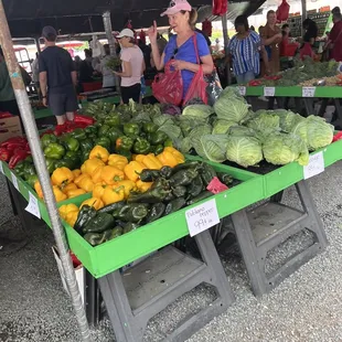 Produce is neatly stacked and organized