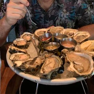 Fresh Oysters