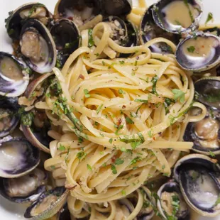 pasta, pasta dish, food