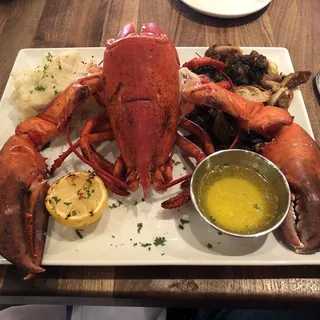1 1/4 Pound Wild Hard Shell North American Lobster