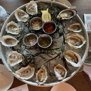 Oyster sampler