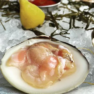 Wild Littleneck Clams
