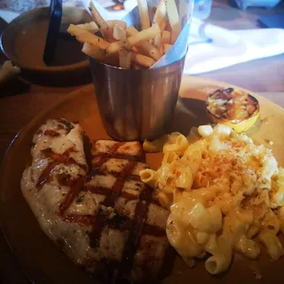 Tilapia