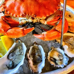 oysters and mussels, food, mussels, oysters, shellfish