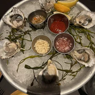 Oysters