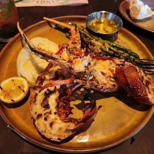 Australian Spiny Lobster
