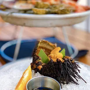 COVID OUTDOOR DINING: Red Sea Urchin | $16