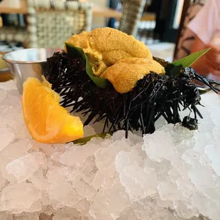 food, sushi and sashimi