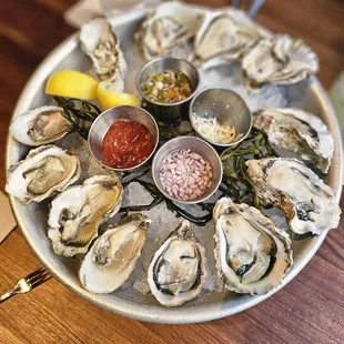 Kumamoto Oysters