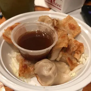 Pan-Fried Pork Dumplings