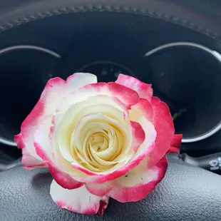 A guy named Bridges was  helpful and kind. I was given a  free beautiful rose. Kings Garden is a great business with nice employees.