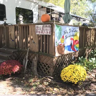 Mums, perennials and a seasonal pumpkin in my garden at the camper