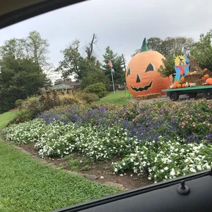 Decked out for the holiday!