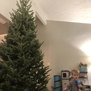 This may be a little bit for our house.